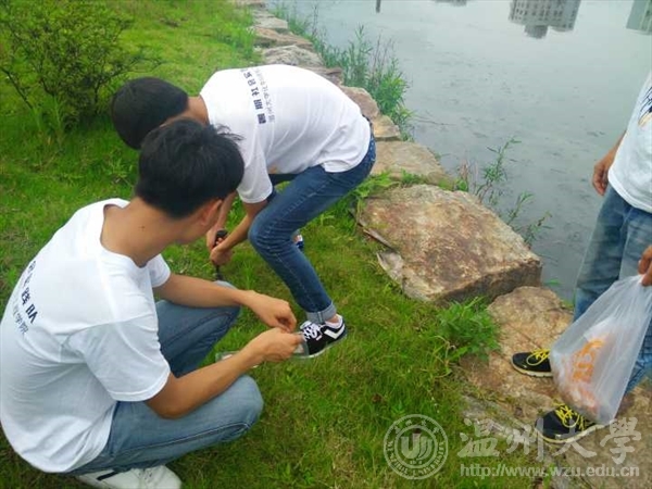 加拿大28开奖