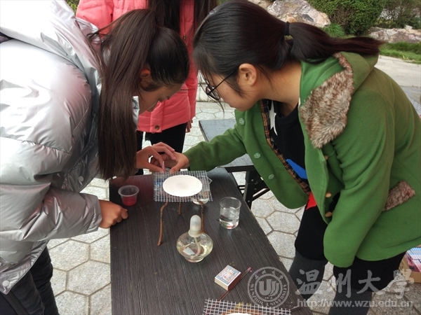 加拿大28开奖